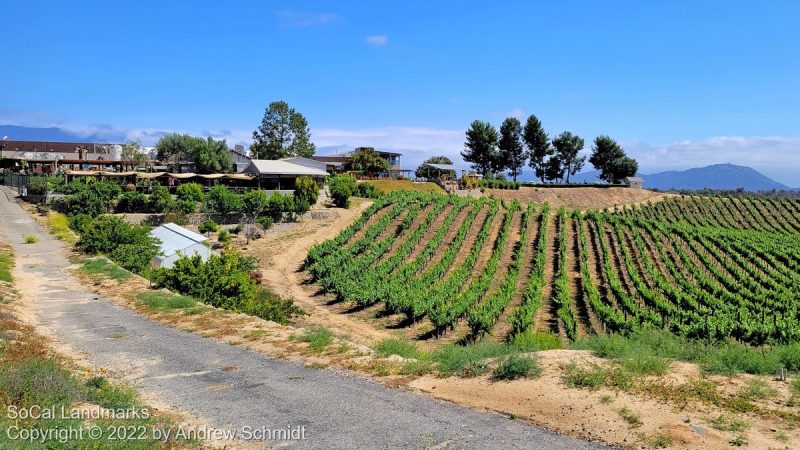 Callaway Vineyard and Winery, Temecula, Riverside County