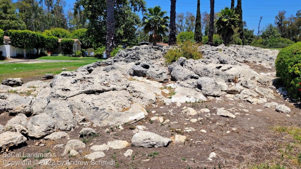 Fossil Reef Park, Laguna Hills, Orange County