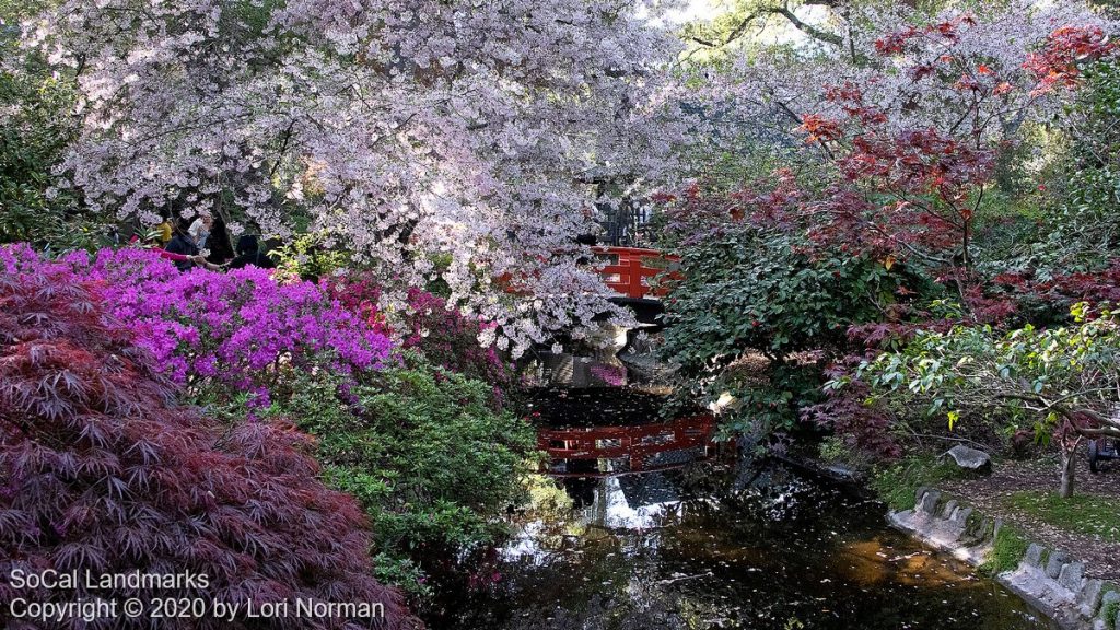 Descanso Gardens, La Cañada-Flintridge, Los Angeles County