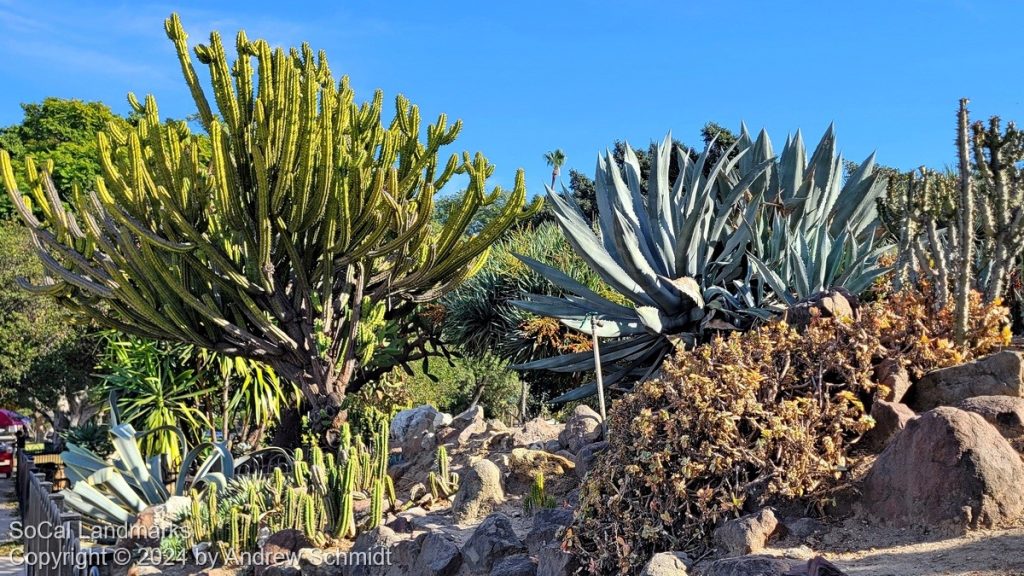 Boysen Cactus Garden, Anaheim, Orange County