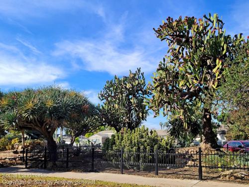 Boysen Cactus Garden, Anaheim, Orange County