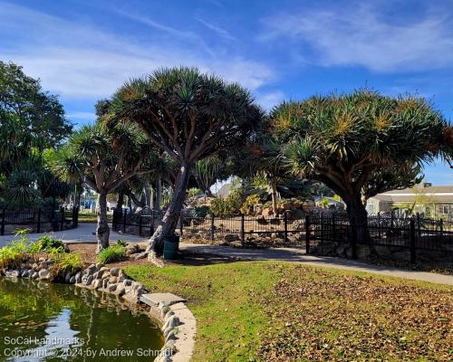 Boysen Cactus Garden, Anaheim, Orange County