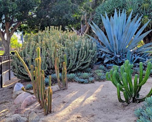 Boysen Cactus Garden, Anaheim, Orange County