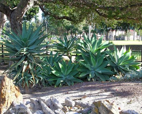 Boysen Cactus Garden, Anaheim, Orange County