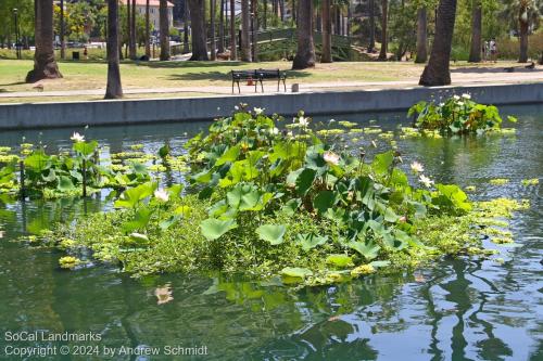 Echo Park Lake, Los Angeles, Los Angeles County