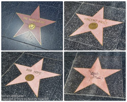 Hollywood Walk of Fame, Hollywood, Los Angeles County
