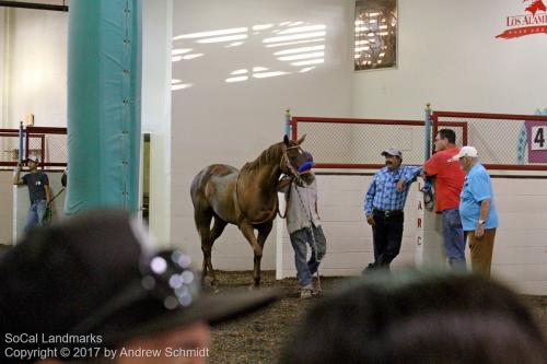 Los Alamitos Race Course, Cypress, Orange County