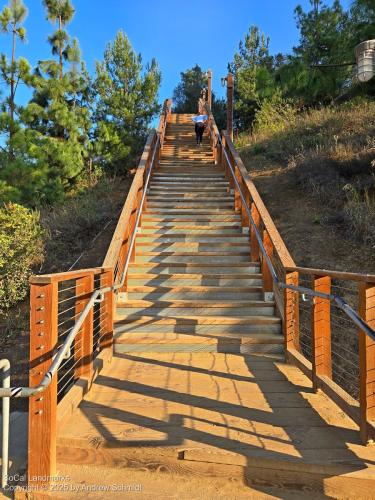 Pinewood Stairs, Hillcrest Park, Fullerton, Orange County