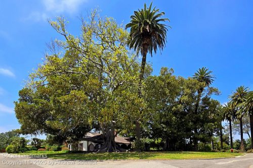 Rancho Los Alamitos, Long Beach, Los Angeles County