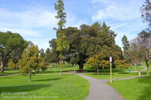 Aldrich Park, University of California, Irvine, Orange County
