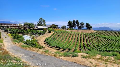 Callaway Vineyard and Winery, Temecula, Riverside County