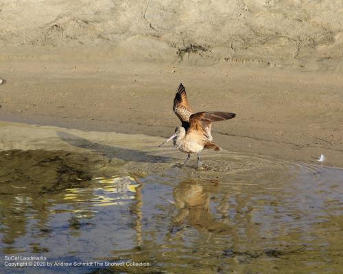 Crystal Cove State Park, Laguna Beach, Orange County