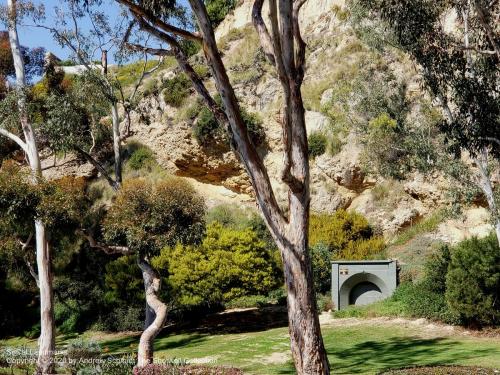 Dana Point Elevator, Dana Point, Orange County