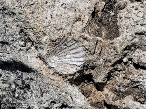 Fossil Reef Park, Laguna Hills, Orange County