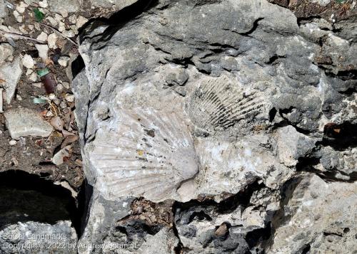 Fossil Reef Park, Laguna Hills, Orange County