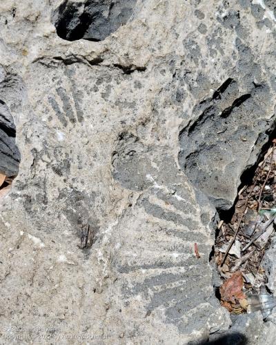 Fossil Reef Park, Laguna Hills, Orange County