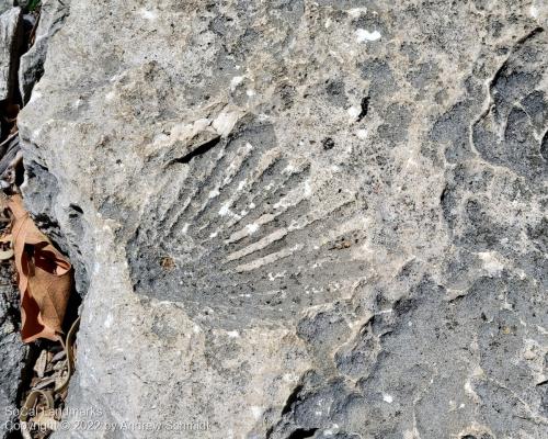 Fossil Reef Park, Laguna Hills, Orange County