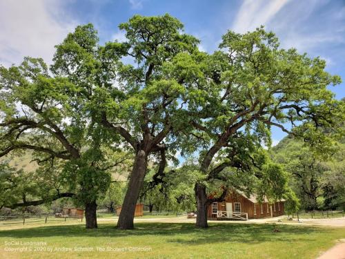 Fort Tejon, Lebec, Kern County