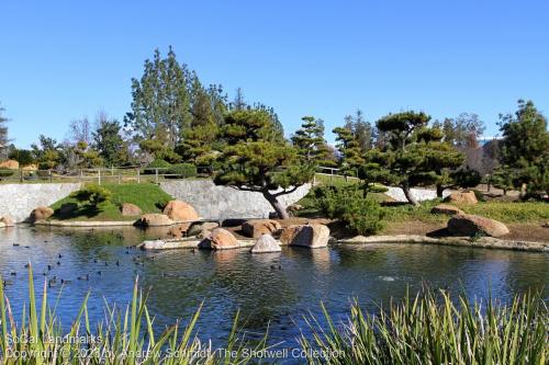 Japanese Garden, Van Nuys, Los Angeles County