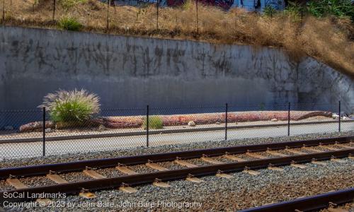 Zanja Madre, Los Angeles State Historic Park, Los Angeles, Los Angeles County