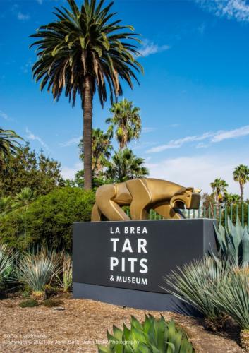 La Brea Tar Pits, Los Angeles, Los Angeles County