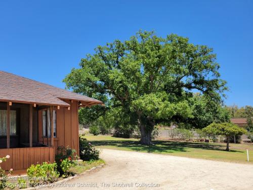 Minnie Palmer Residence, Chatsworth, Los Angeles County