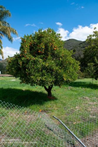 Motel Inn, San Luis Obispo, San Luis Obispo County