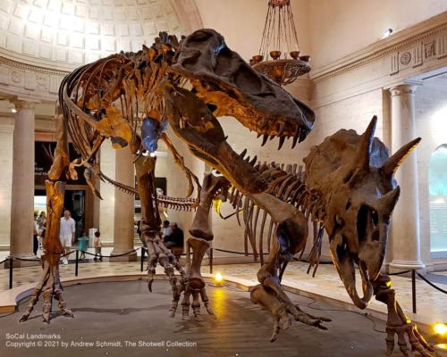 LA County Museum of Natural History, Los Angeles, Los Angeles County