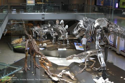 LA County Museum of Natural History, Los Angeles, Los Angeles County
