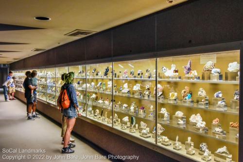 LA County Museum of Natural History, Los Angeles, Los Angeles County