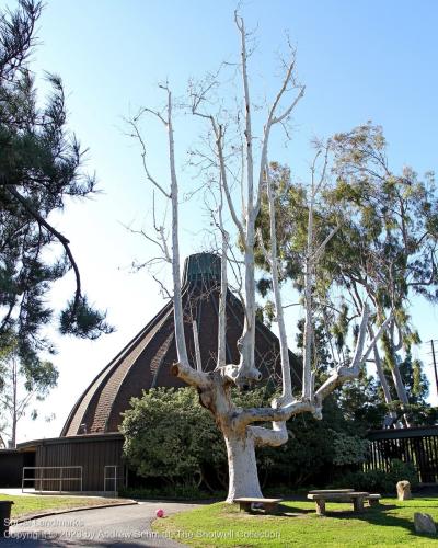 The Onion, North Hills, Los Angeles County