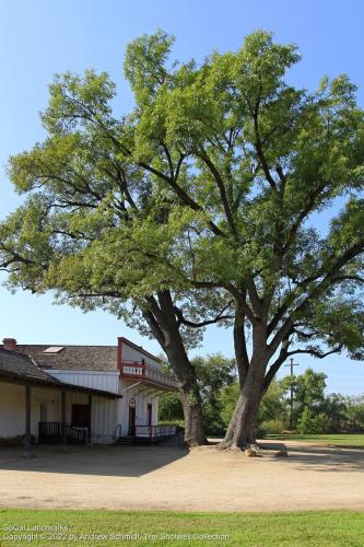 Pío Pico Casa, Whittier, Los Angeles County