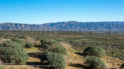 Wind Turbine Farms, Palm Springs, Riverside County