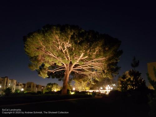 Parasol Park, Irvine, Orange County