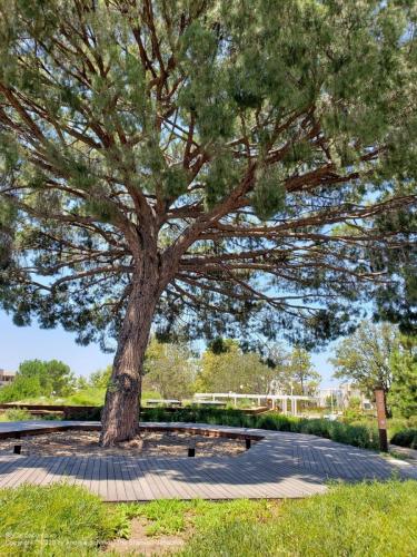 Parasol Park, Irvine, Orange County