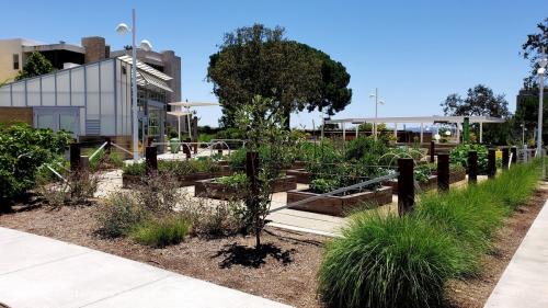 Parasol Park, Irvine, Orange County