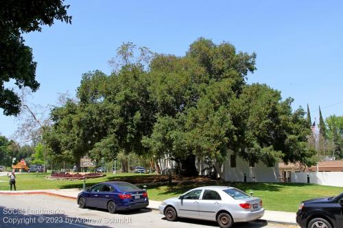 Rancho Los Feliz Adobe, Griffith Park, Los Angeles, Los Angeles County