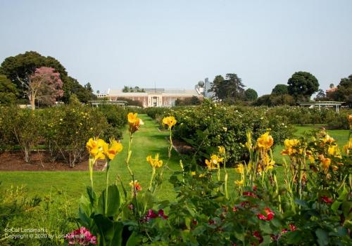 Rose Garden, Exposition Park, Los Angeles, Los Angeles County