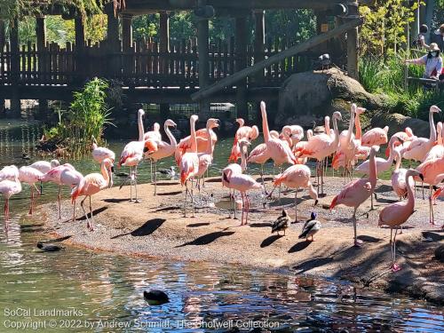 San Diego Zoo Safari Park, Escondido, San Diego County