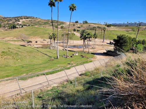 San Diego Zoo Safari Park, Escondido, San Diego County