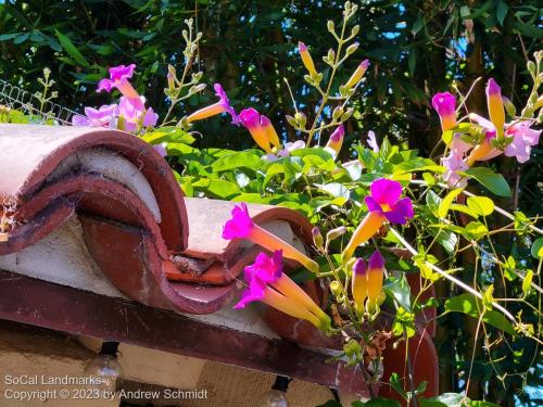 Sherman Library and Gardens, Corona del Mar, Orange County