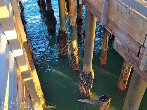 Stearns Wharf, Santa Barbara, Santa Barbara County