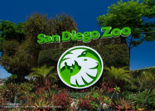 San Diego Zoo, San Diego, San Diego County