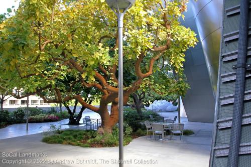 Blue Ribbon Garden, Los Angeles, Los Angeles County